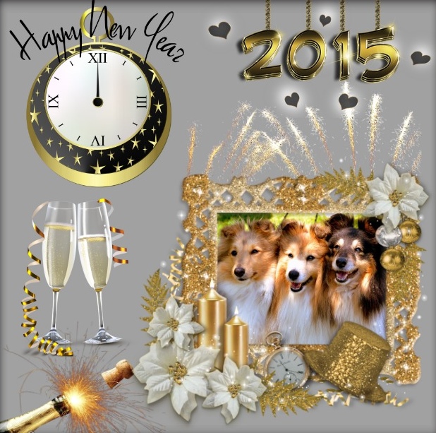 familiy2015Happy New Year - 2zxDa-JDL2 - normal